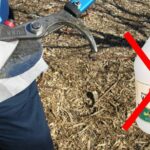 Ocet na zahradní nářadí? Zimní tajemství, které výrobci skrývají