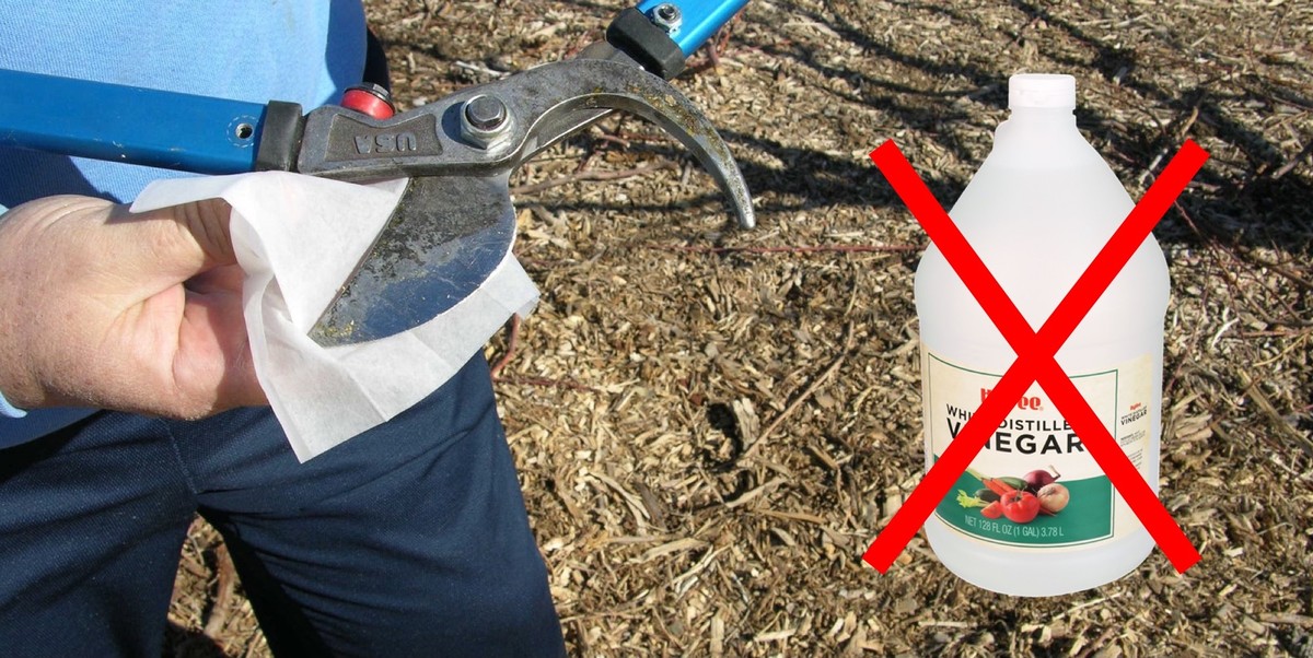 Ocet na zahradní nářadí? Zimní tajemství, které výrobci skrývají