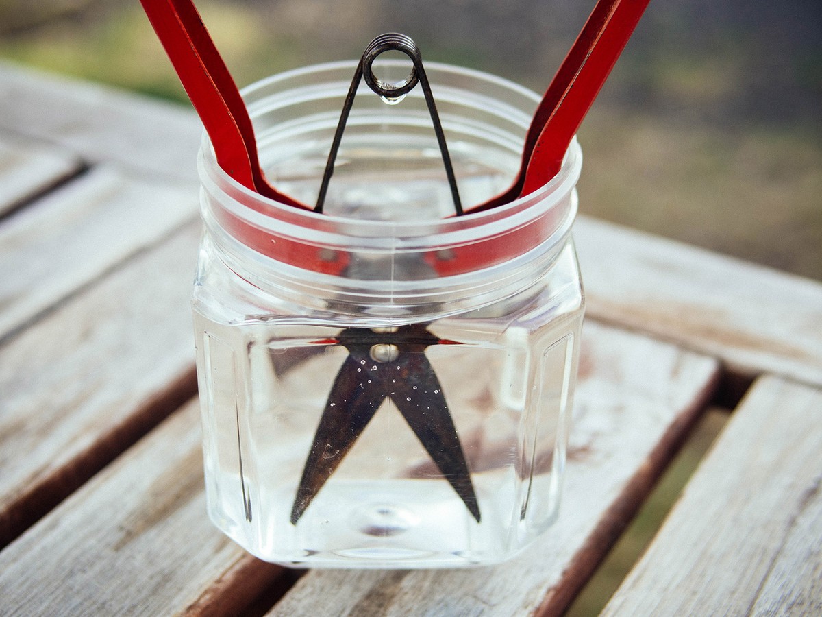 Ocet na zahradní nářadí? Zimní tajemství, které výrobci skrývají - image 2