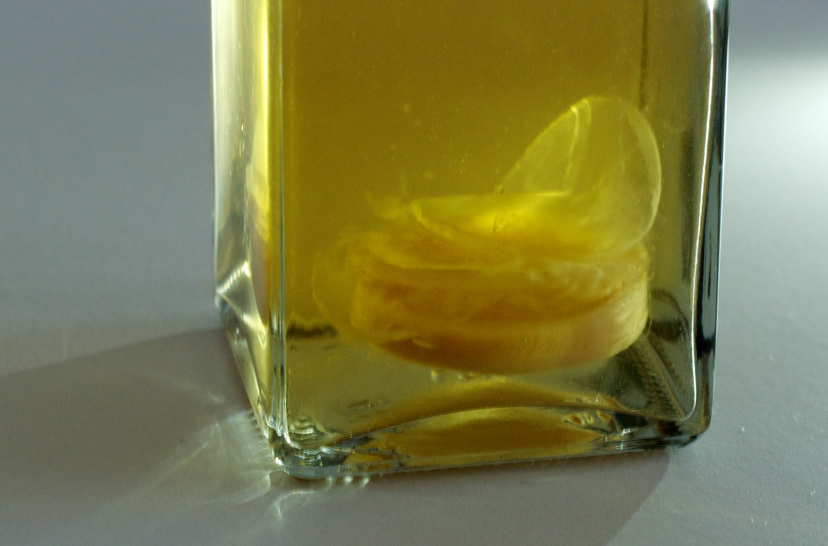 Ocet v zalévací vodě trávníku zastavuje plíseň během týdne - image 1