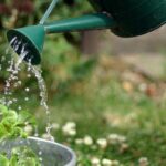 Ocet v zavlažovací konvi? Zemědělci znají háček na zdravou půdu