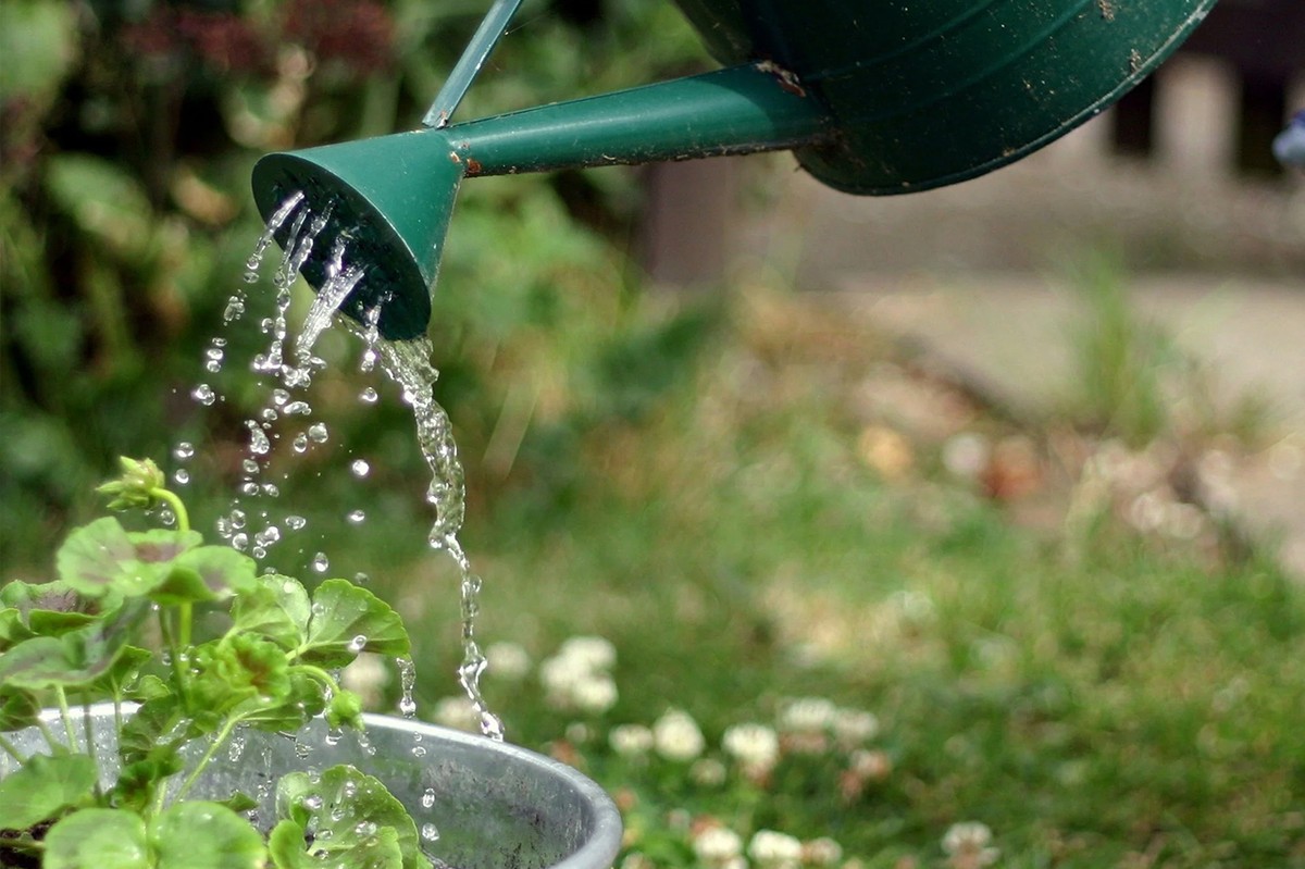 Ocet v zavlažovací konvi? Zemědělci znají háček na zdravou půdu