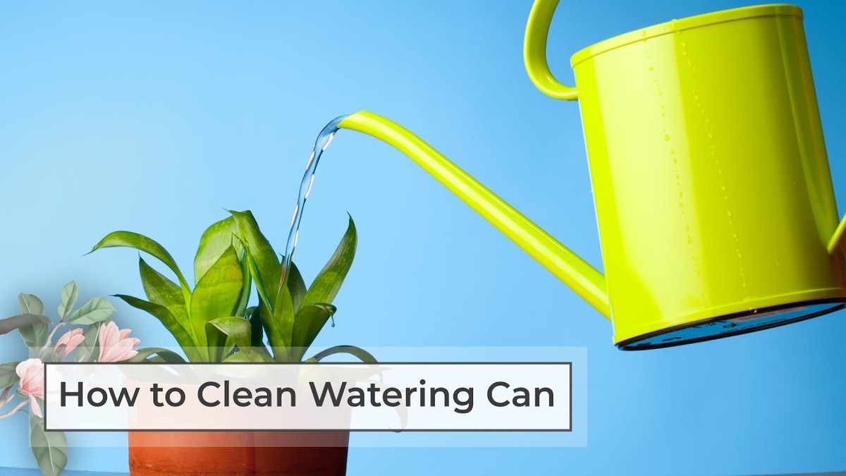 Ocet v zavlažovací konvi? Zemědělci znají háček na zdravou půdu - image 2