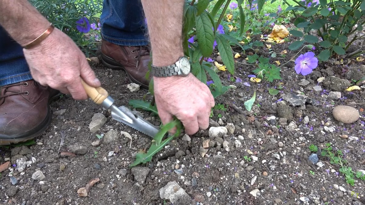 Papírová páska na okrajích záhonu brání plevelům za pár korun - image 2