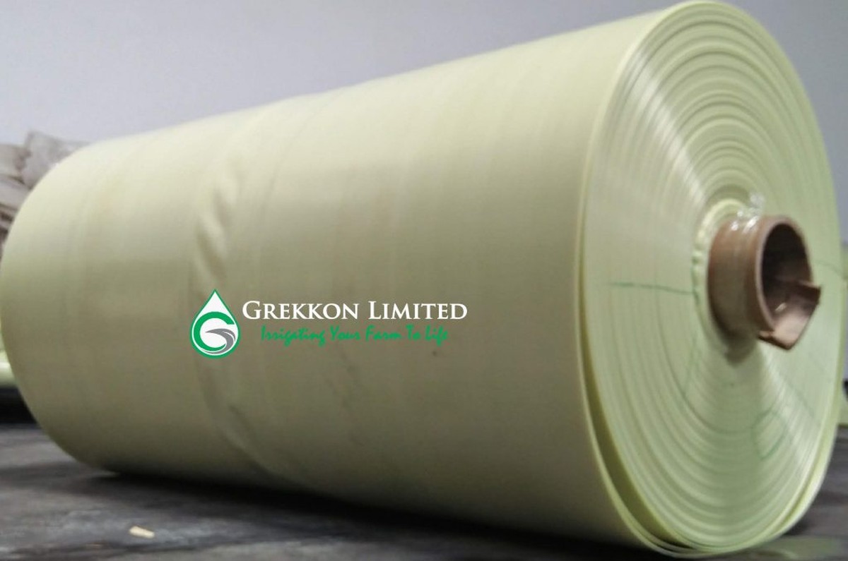 Papírová role jako mini skleník: jak zahradníci pěstují sazenice bez nákupu zařízení - image 1