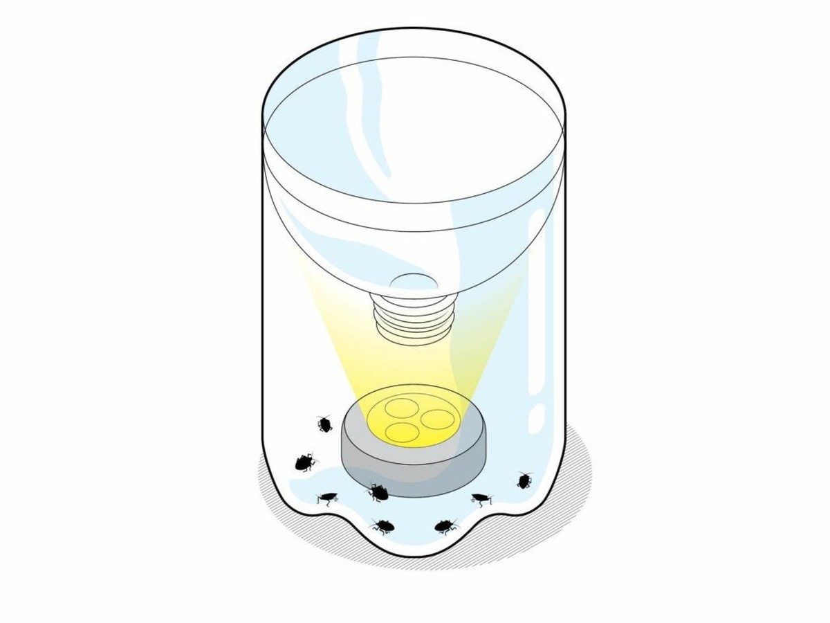 Papírová roztoč za květináči? Levná zbraň proti mouchlům v půdě - image 2