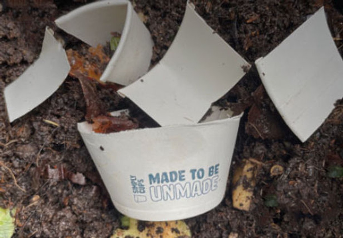 Papírové kelímky od kávy umíte recyklovat přímo v půdě. Jak? - image 2