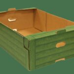 Papírové krabice pod zeleninou zastaví plíseň na 100 procent