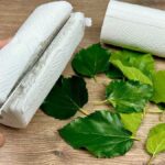 Papírové ručníky na záhonu: genialita proti hmyzu kterou znají zahradnické dynastie