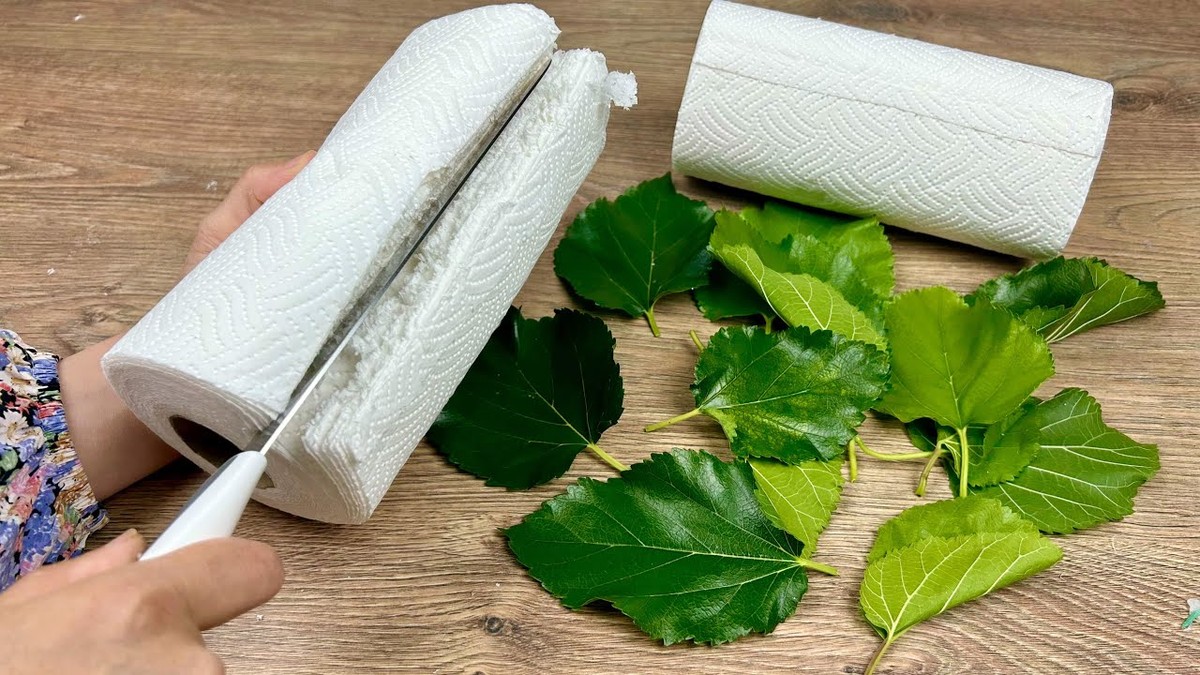 Papírové ručníky na záhonu: genialita proti hmyzu kterou znají zahradnické dynastie