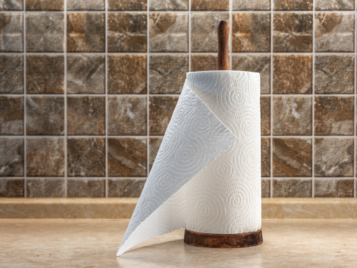 Papírové utěrky v sadu? Trik proti slimákům, který funguje lépe než chemie - image 1