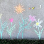 Pěstitelé odhalují: proč se používá křída v zelenině, kterou neznáte