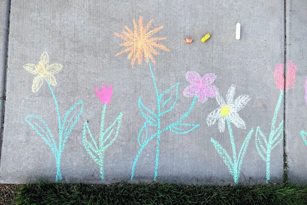 Pěstitelé odhalují: proč se používá křída v zelenině, kterou neznáte