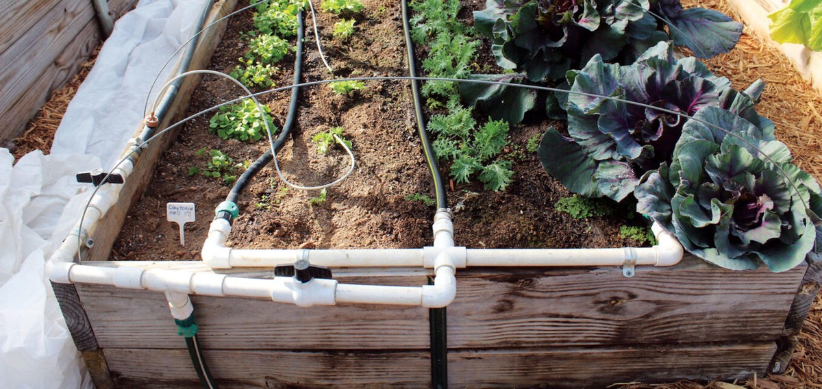 Plastové lahve v zahradě: jak je umístit, aby vám rostliny děkovaly - image 2