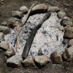 Popol ze krbu jako zázrak proti plžům: starobylý trik, který funguje pořád