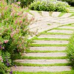 Proč odborní zahradníci přidávají do vody vápenec