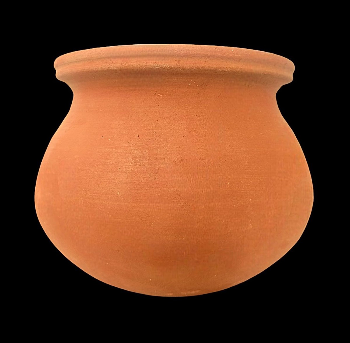 Proč všichni profesionální pěstitelé přidávají písek do květináčů - image 2