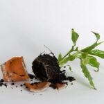 Rozbitý květináč? Jak jej recyklovat na 5 nečekaných způsobů