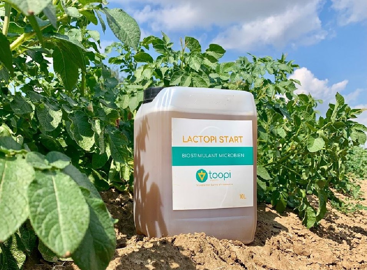 Školitelé zahrad varovně: nikdy nekombinujte moč zvířat s chlorem v kompostu - image 1