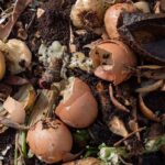 Skořápky od vajec do zahradní půdy: chemie zemědělců již nebudete potřebovat