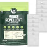 Skořice na půdě mezi zeleninou – starý trik proti myšům, který funguje lépe než pasti