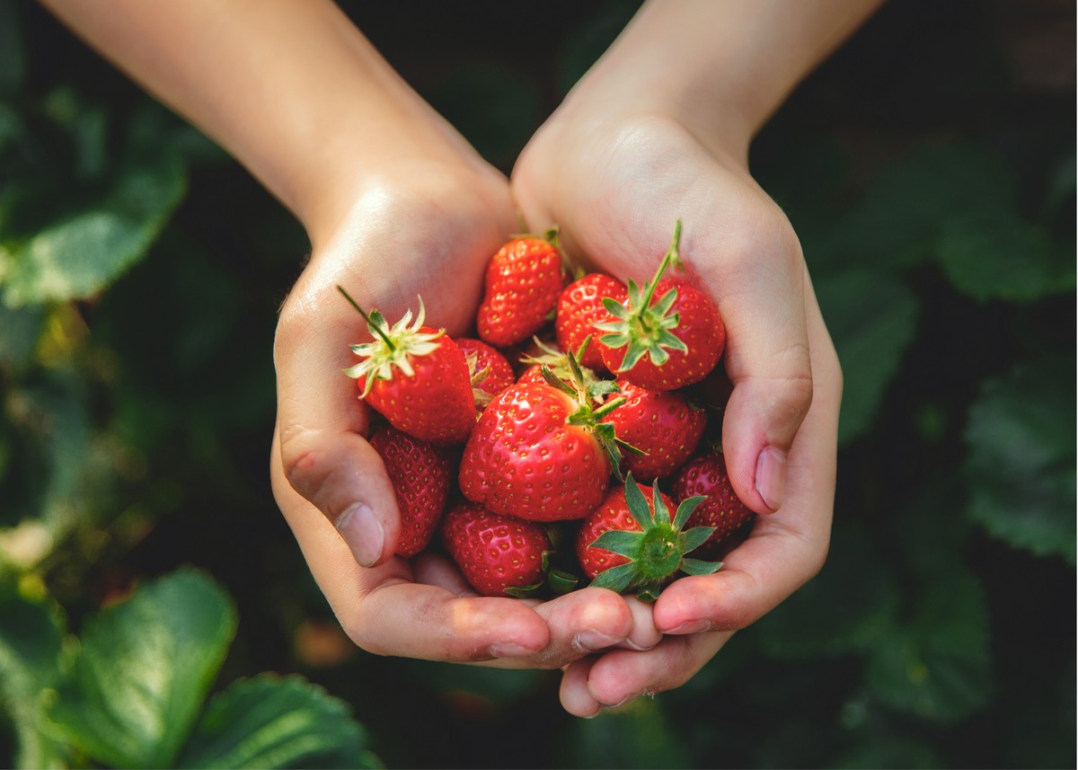 Skořice na půdě? Překvapivý důvod, proč ji nasypat pod jahody - image 1
