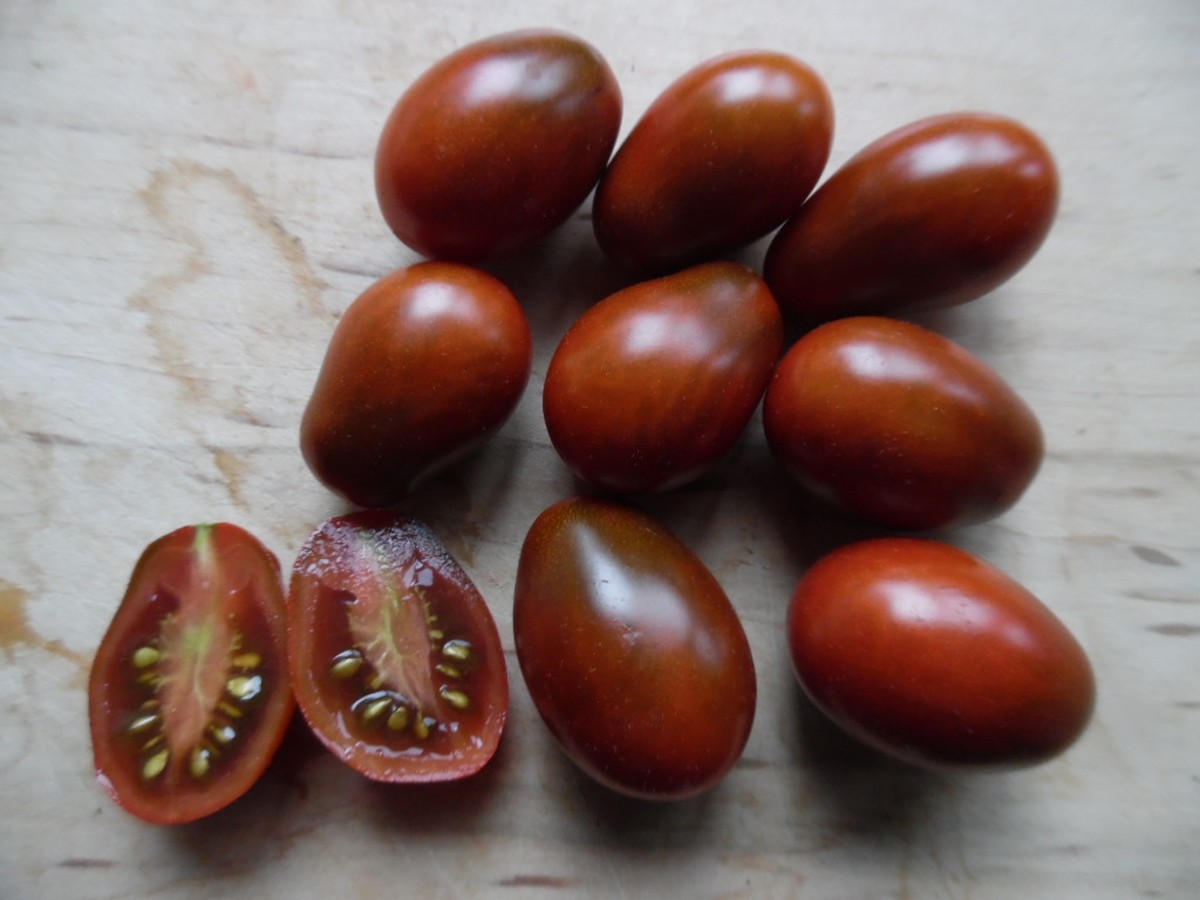 Skořice na rajčatech? Starý trik, který zvyšuje úrodu o 40 procent