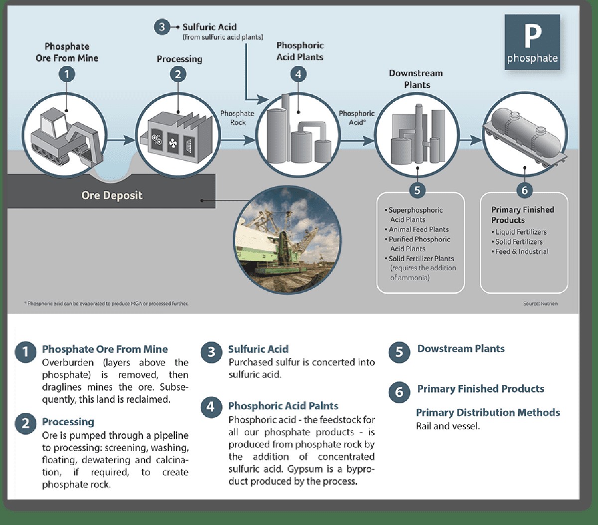 Slupka od banánu na rajčata? Tajemství fosforu, který skrývá průmysl - image 2