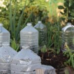 Staré PET lahve jako mini parníky? Zahradníci vědí triky, které fungují