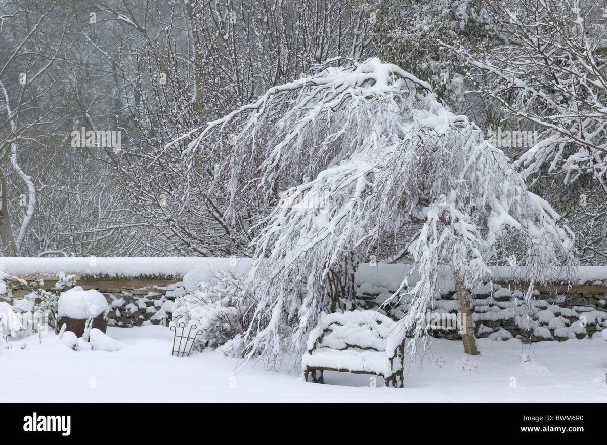 Starý sníh z mrazáku na záhon: selhání nebo geniální řešení?