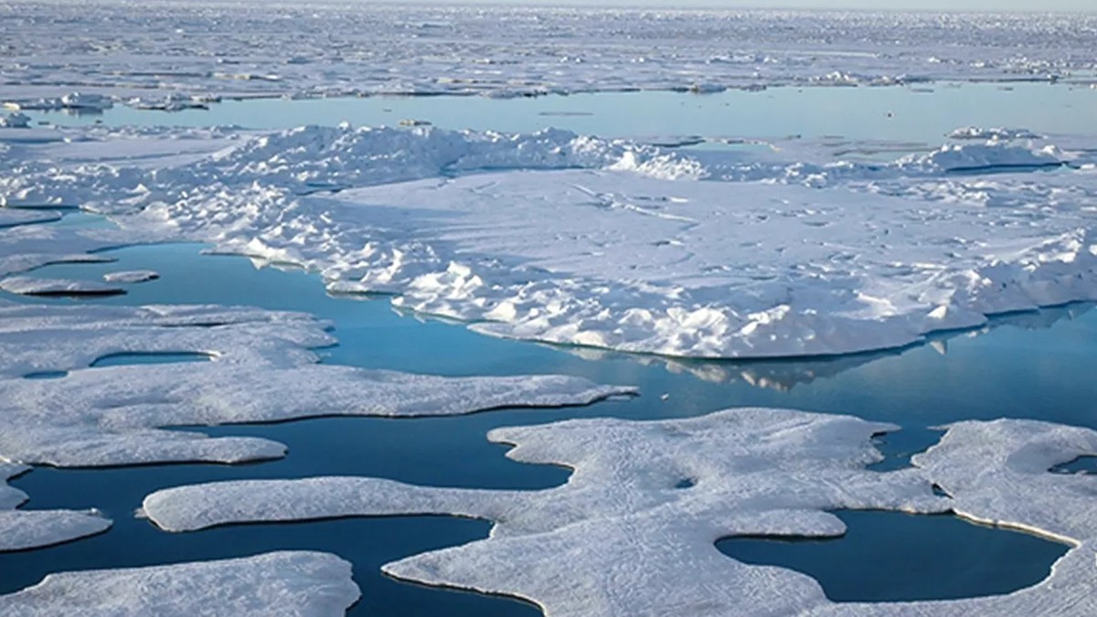 Starý sníh z mrazáku na záhon: selhání nebo geniální řešení? - image 1
