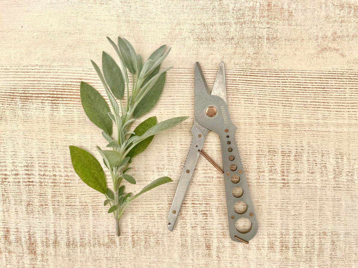 Starý střihač na nehty v zahradě? Zahradníci jej používají pro úplně jiný účel - image 2