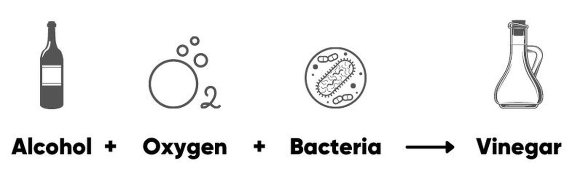 Sůl a ocet na schody – proč to ve starých zahradách funguje lépe než chemie - image 1
