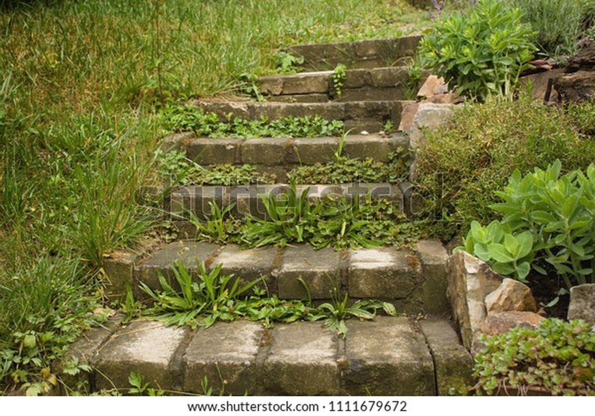 Sůl a ocet na schody – proč to ve starých zahradách funguje lépe než chemie - image 2