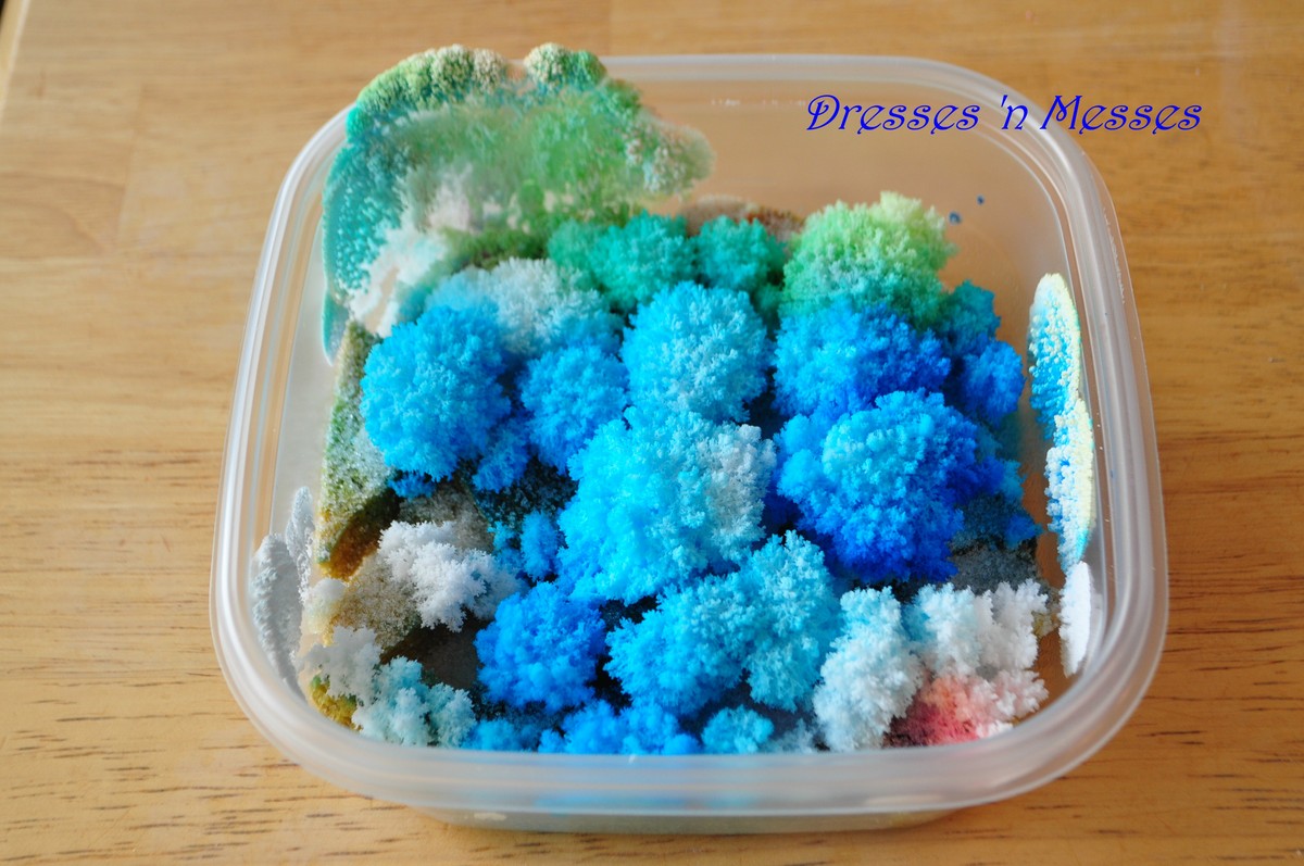 Sůl v rozích zahrady? Odborníci odhalují, proč to funguje proti slimákům - image 1