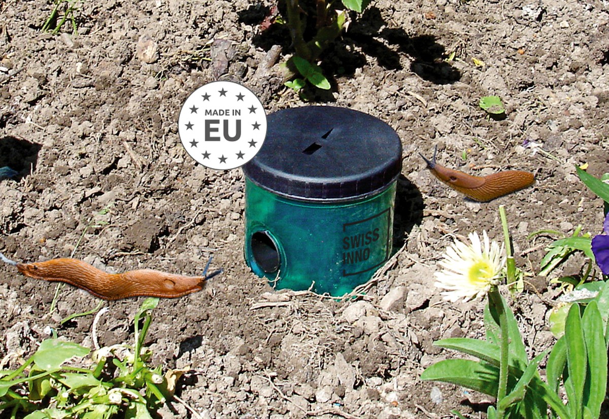 Sůl v rozích zahrady? Odborníci odhalují, proč to funguje proti slimákům - image 2