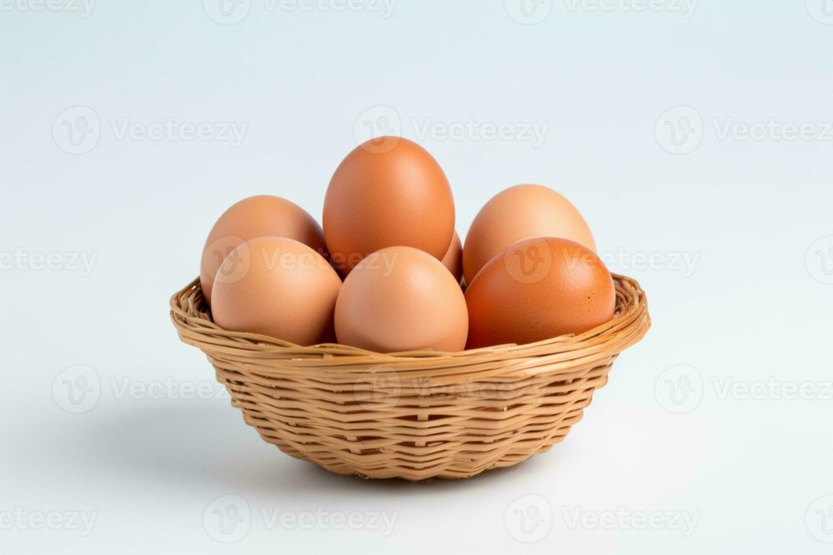 Vejce rozpuštěné v kbelíku vody: Proč to míchači v zahradnictví nedávají dál