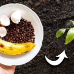 Vejce v kávě na záhradě? Proč to zemědělci dělají každý rok