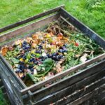 Vejce v kompostu urychluje rozklad o týden