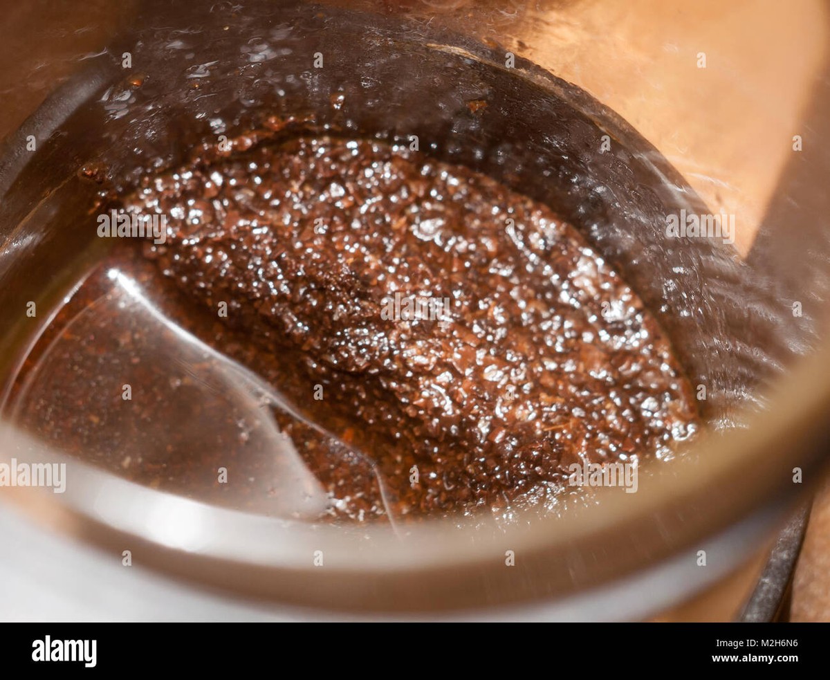 Vlhká kávová sedlina v záhradě? Jak ji využít místo hnojiva - image 1