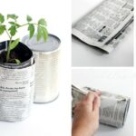 Vlhká noviny kolem sazenic: stará metoda, kterou předávají si садовé lékaře