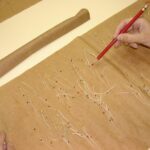 Vlhký papír toaletní na semínka: trik, který zvyšuje klíčivost o 40 procent