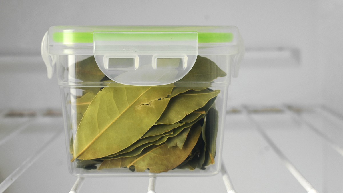 Vložte bobkový list do mouky: jak zahradníci po staletí bojují se škůdci - image 2