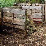 Zahrádkáři varují: jeden druh kompostu vám ničí mikrobiom půdy