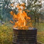 Zahradníci prosí vás: Nikdy nepalte tento druh rostlin poblíž domu