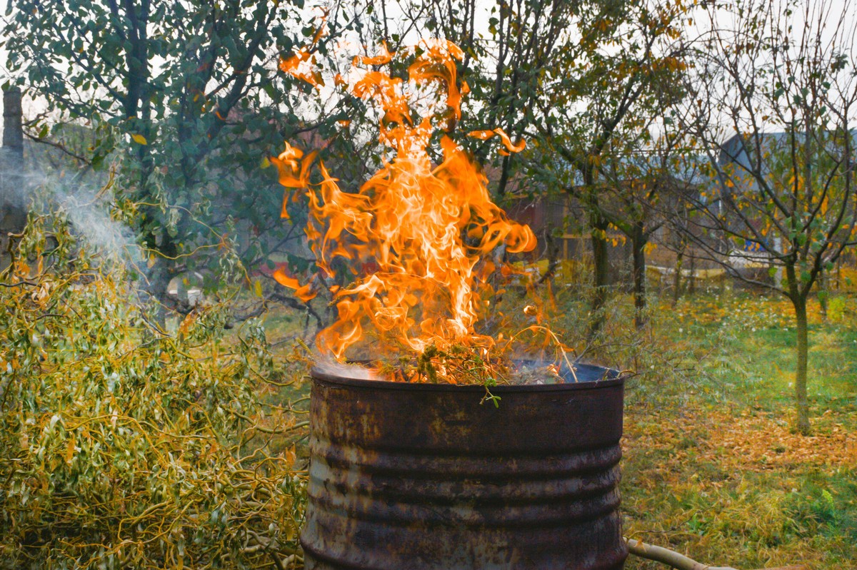 Zahradníci prosí vás: Nikdy nepalte tento druh rostlin poblíž domu
