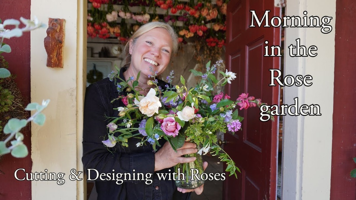 Zahradníci varují: nikdy neřežte růže v tuto denní dobu, nebo zvadnou za 2 dny