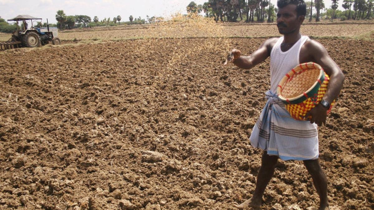 Zemědělci přiznávají: tato chyba při sázení osiva stojí tisíce každý rok - image 2