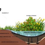 Zemědělci prozradili: jediný druh vody, kterou rostliny milují